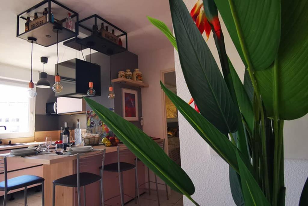 Appartement Premium, proche Faculté&Centre Ville Perpignan Extérieur photo